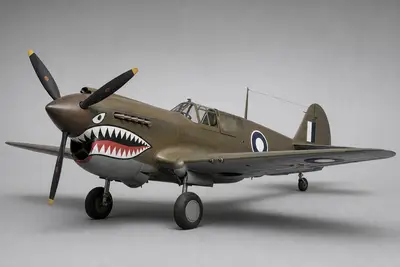 P-40（新西兰空军）