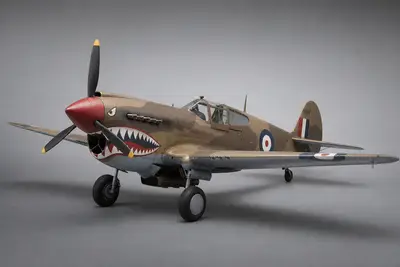 P-40（南非空军）