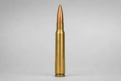 .303 英式枪弹