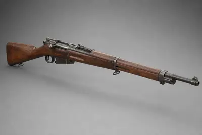 卡尔卡诺 M91 步枪